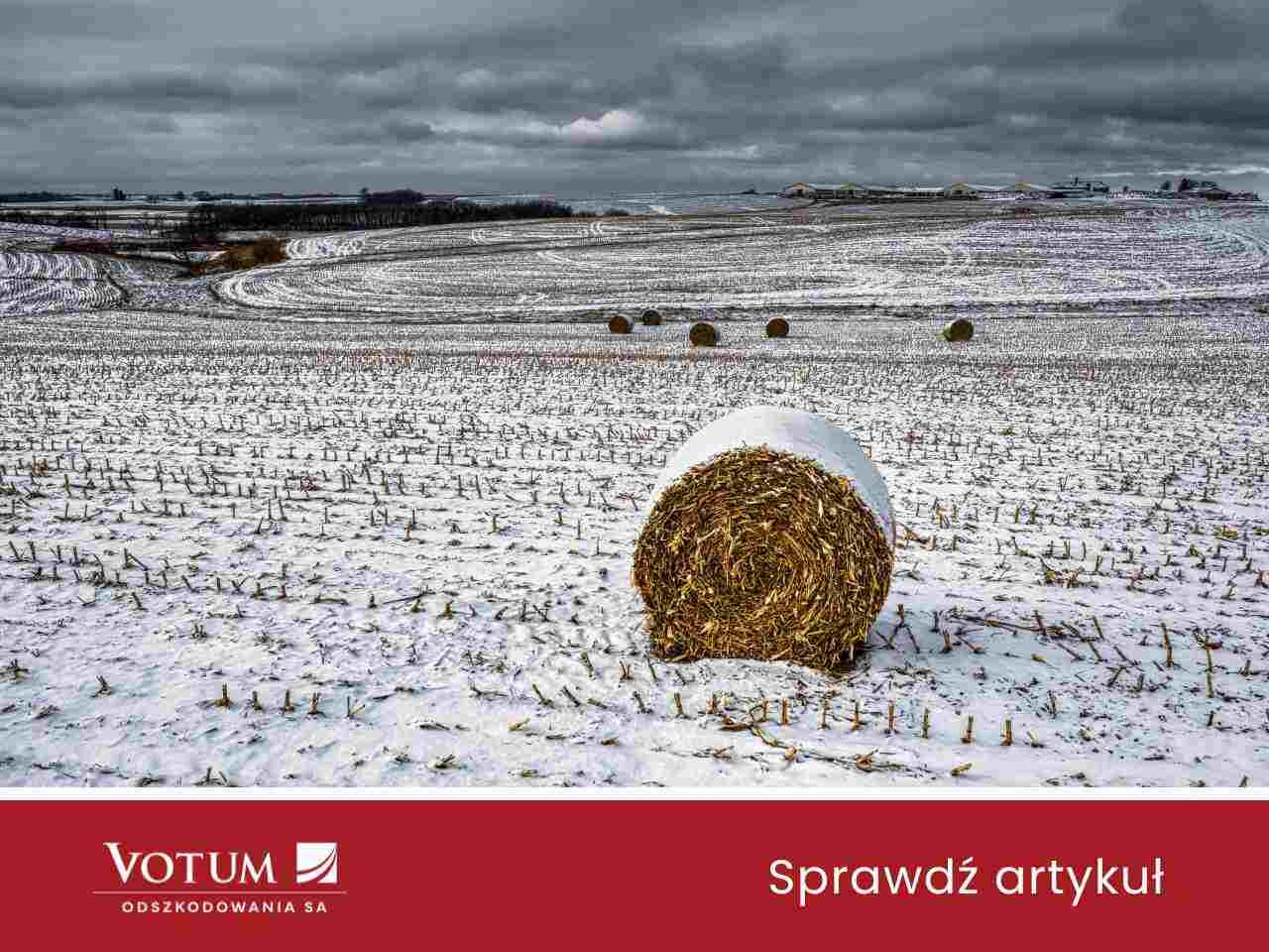 Krajobraz wiejski zimą