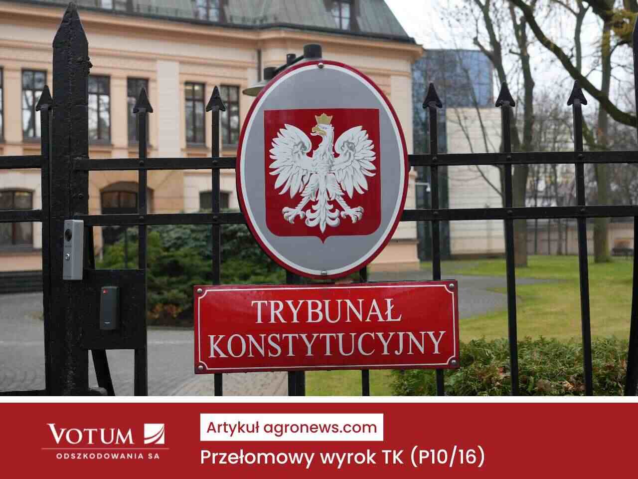 trybunał konstytucyjny