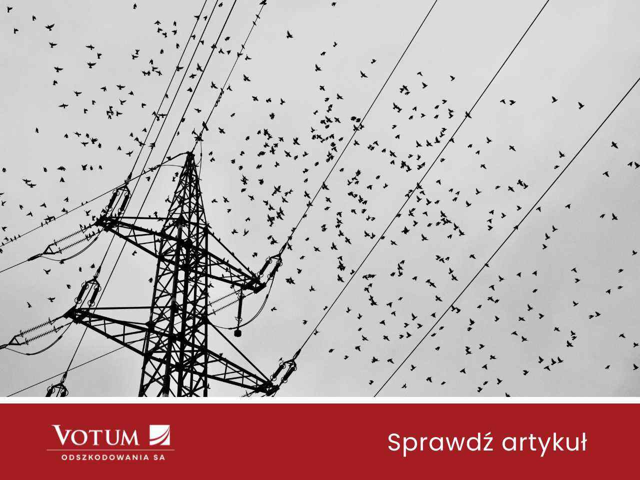 linia wysokiego napięcia